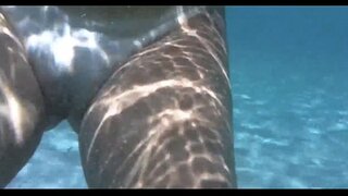 Kayente den d awa den haf di bara, den salbador di bahía