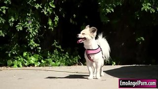 Drobna wytatuowana Laska znajduje swojego psa na własność sąsiadów.Jej sąsiad chce nagrody, zdejmują ubrania, a ona gardzi sąsiadami bigcock.In powrót jej sąsiad pieprzy jej cipki i tyłek głęboko i mocno, aż on spuści na nią.