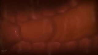 ���ਯੂਮਿੰਗ ਨੂੰ ਕੁੱਖ ਦੇ ਅੰਦਰ