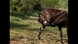 Секс втроем в Тунде